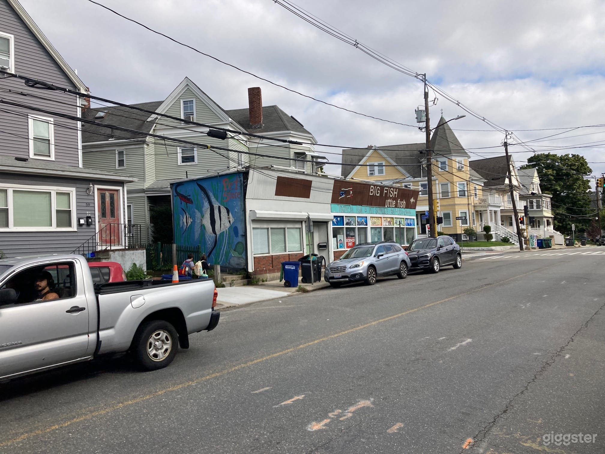 Big Fish little fish
   55 Elm st
 Somerville MA 02144
  left side view