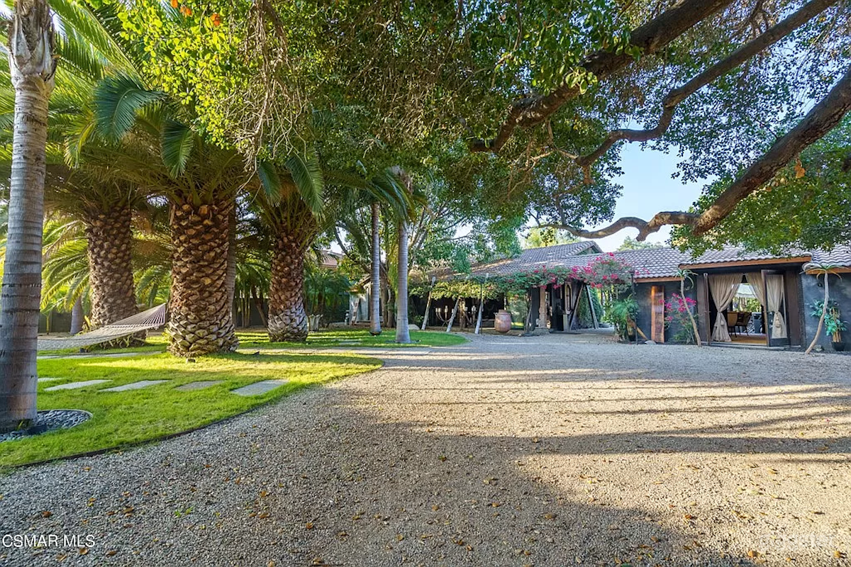 Tropical Oasis on Extravagant Lot  Photo 3