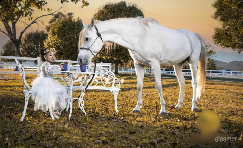 Photo by Science of Life Photography
(850) 686-9886