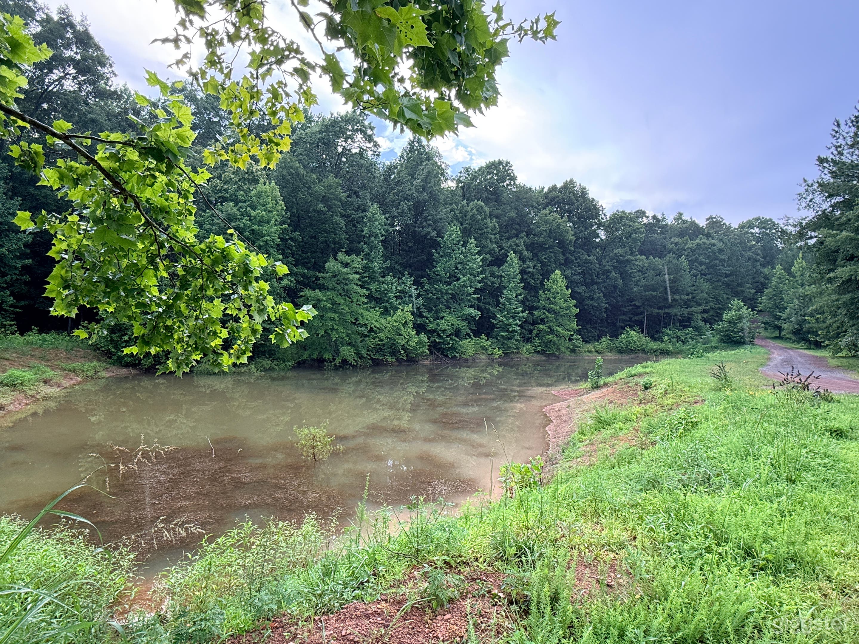 46 Secluded acres with ponds and natural settings Photo 2