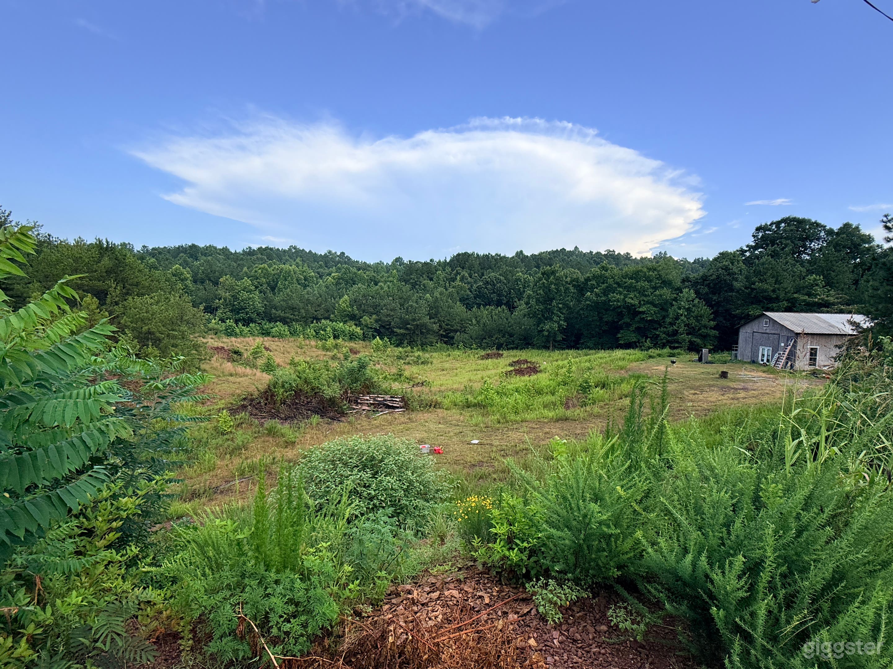 46 Secluded acres with ponds and natural settings Photo 1