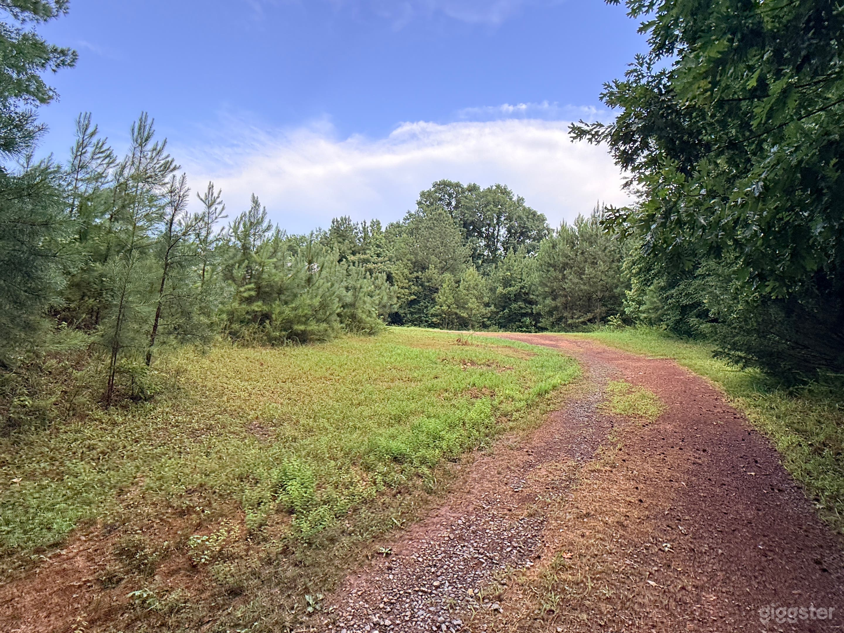 46 Secluded acres with ponds and natural settings Photo 4