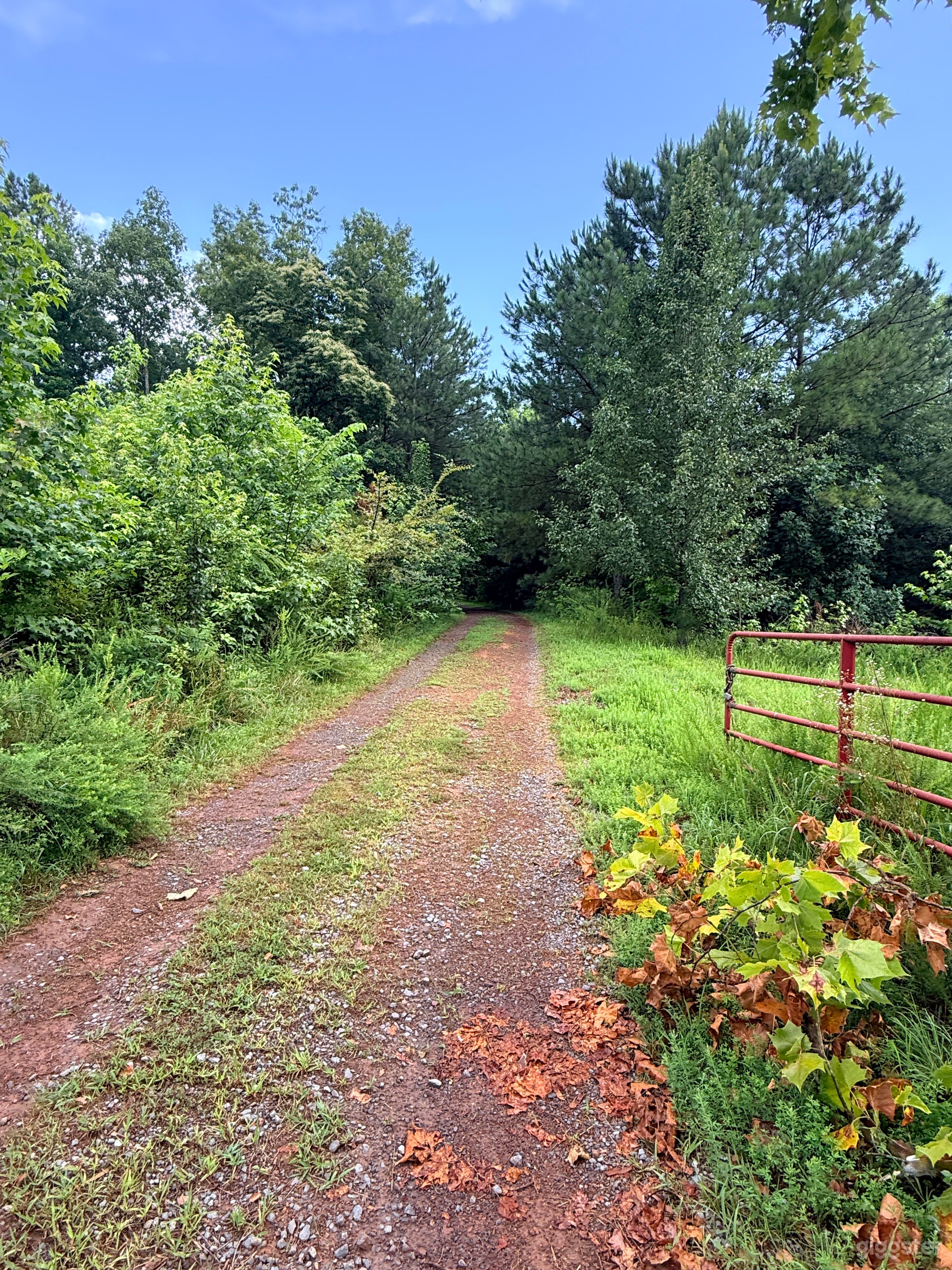 46 Secluded acres with ponds and natural settings Photo 3
