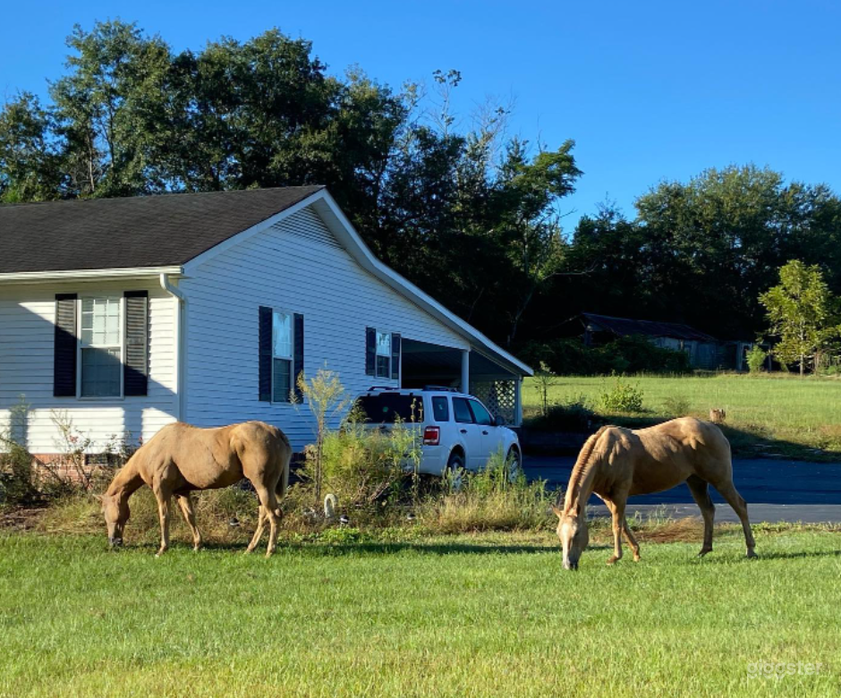 Old Western Town Ranch Photo 4