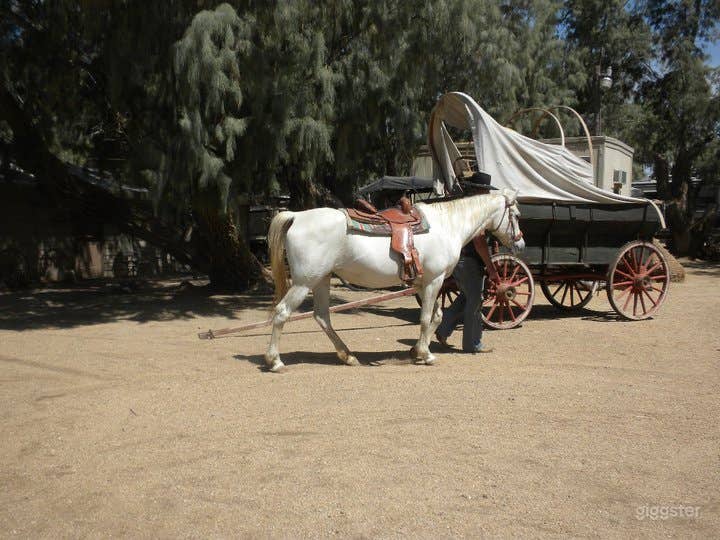 Old Western Town Ranch Photo 2