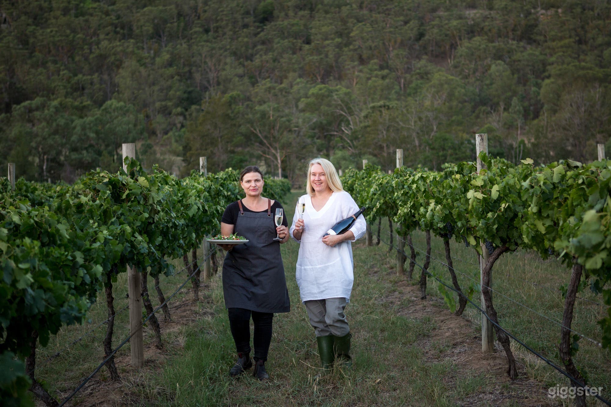 The Vineyard Photo 4