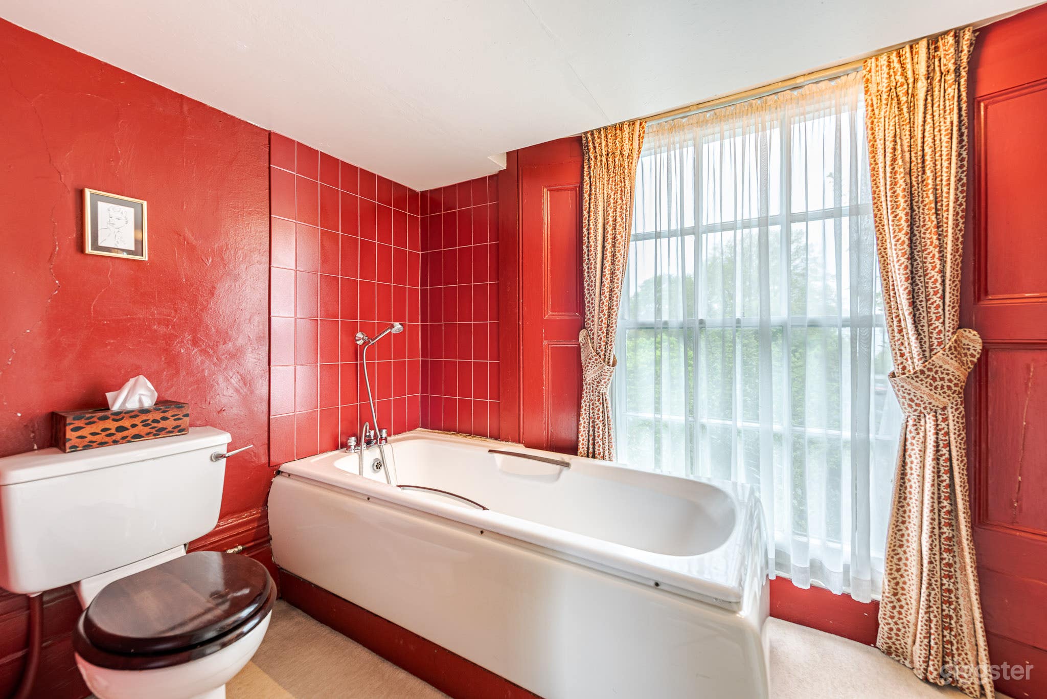 St Peter's Square Photo 4