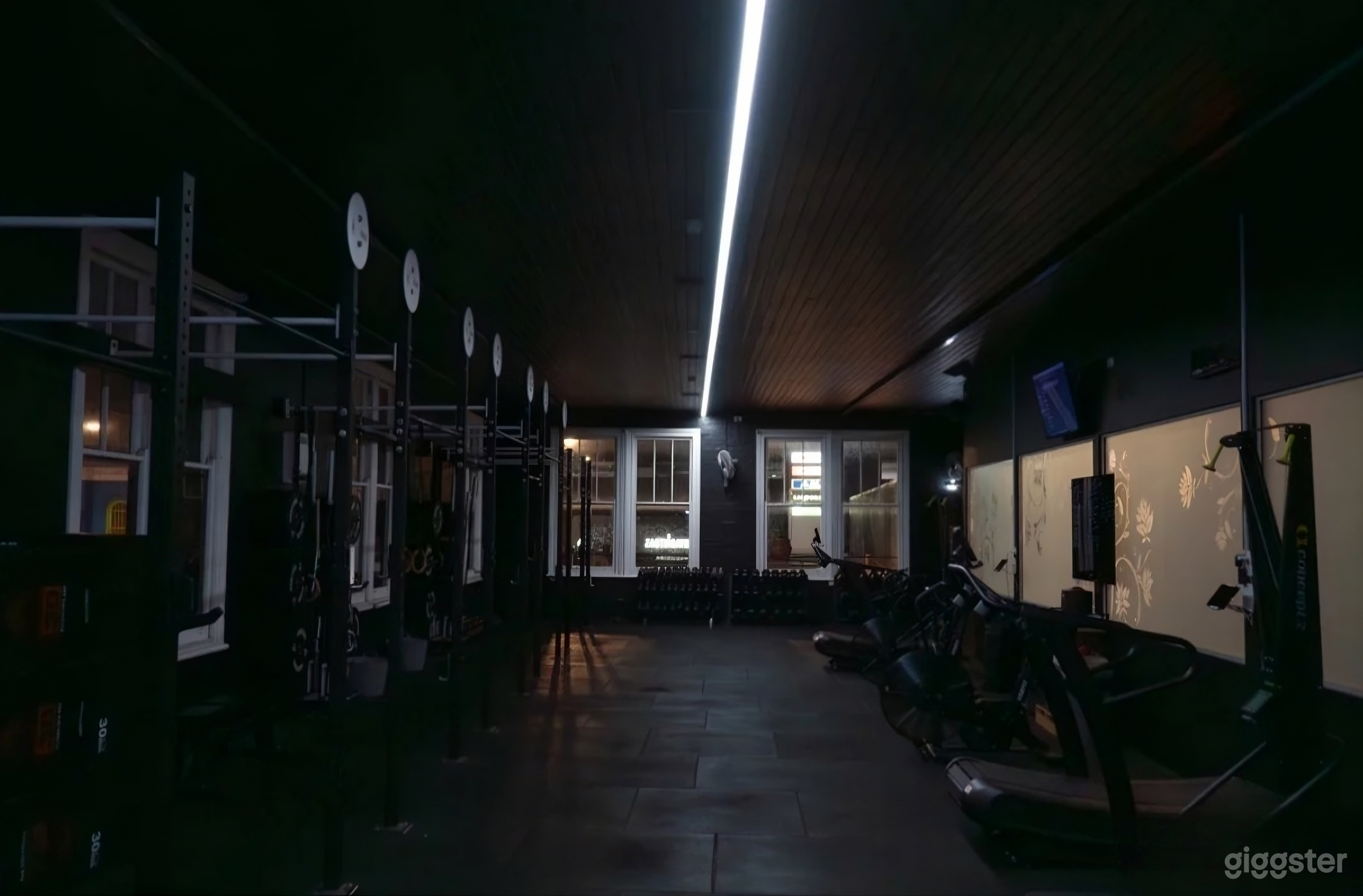 Modern Boutique Gym with Natural Light for Productions Photo 2