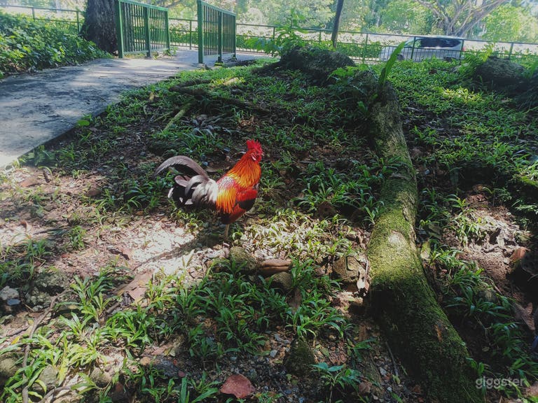  Urban and yet filled with nature. 