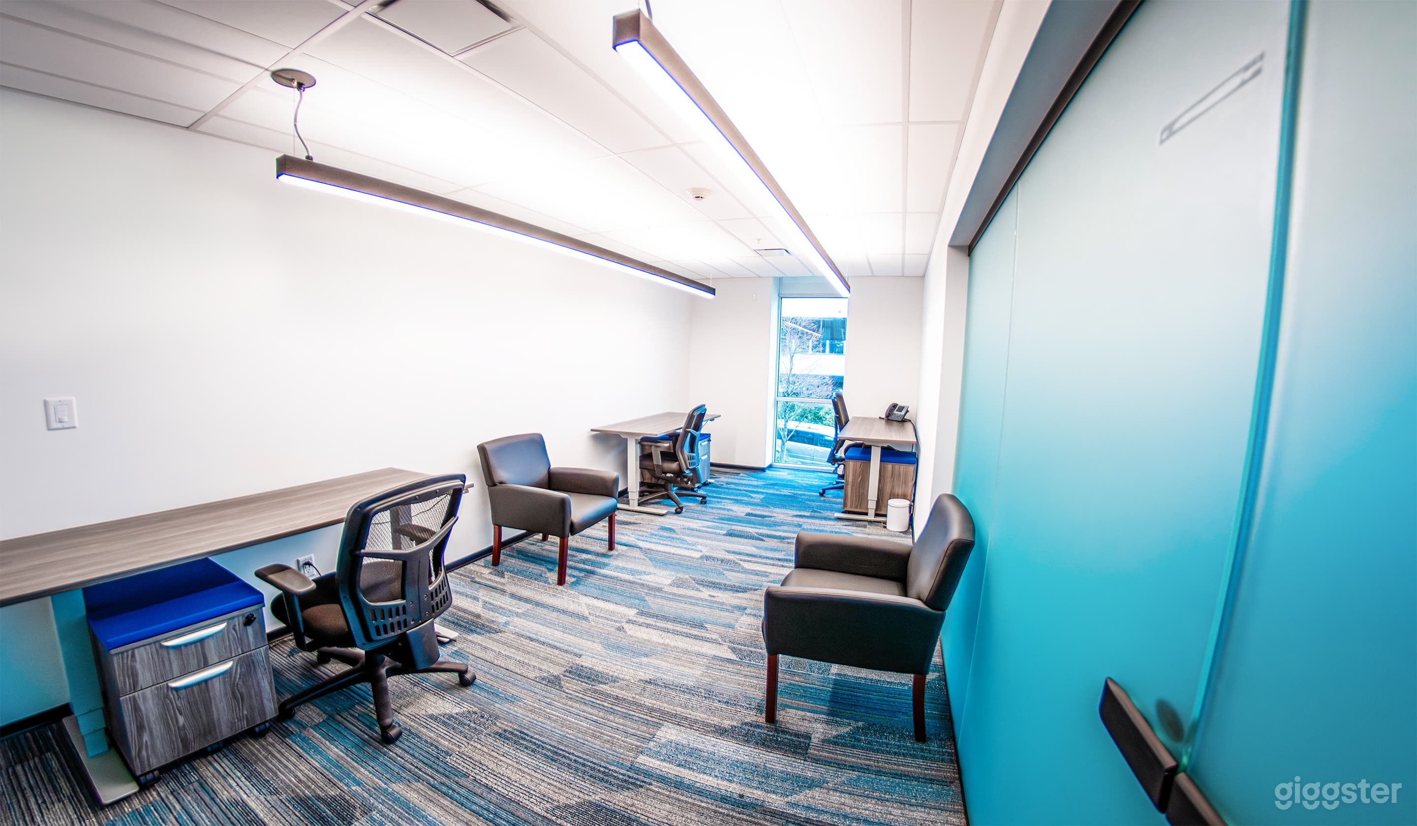 Team Office for 5 Photo 1