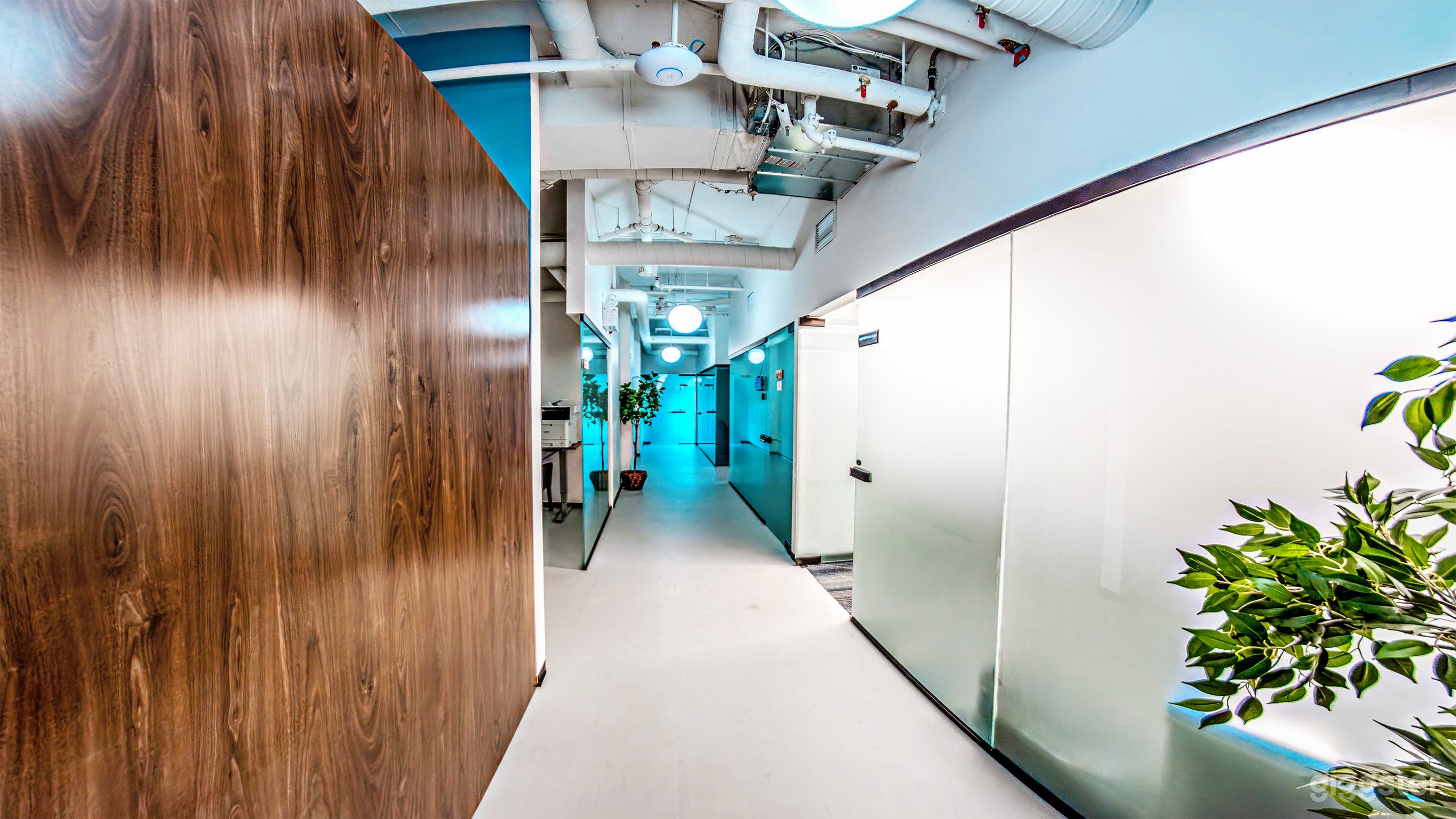 Team Office for 5 Photo 3