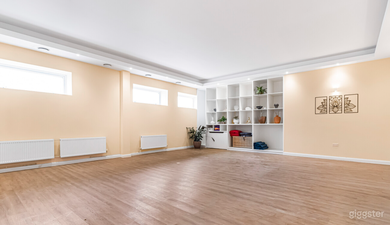 Bright &amp; Peaceful Fitness/Yoga Studio – NW London Photo 1