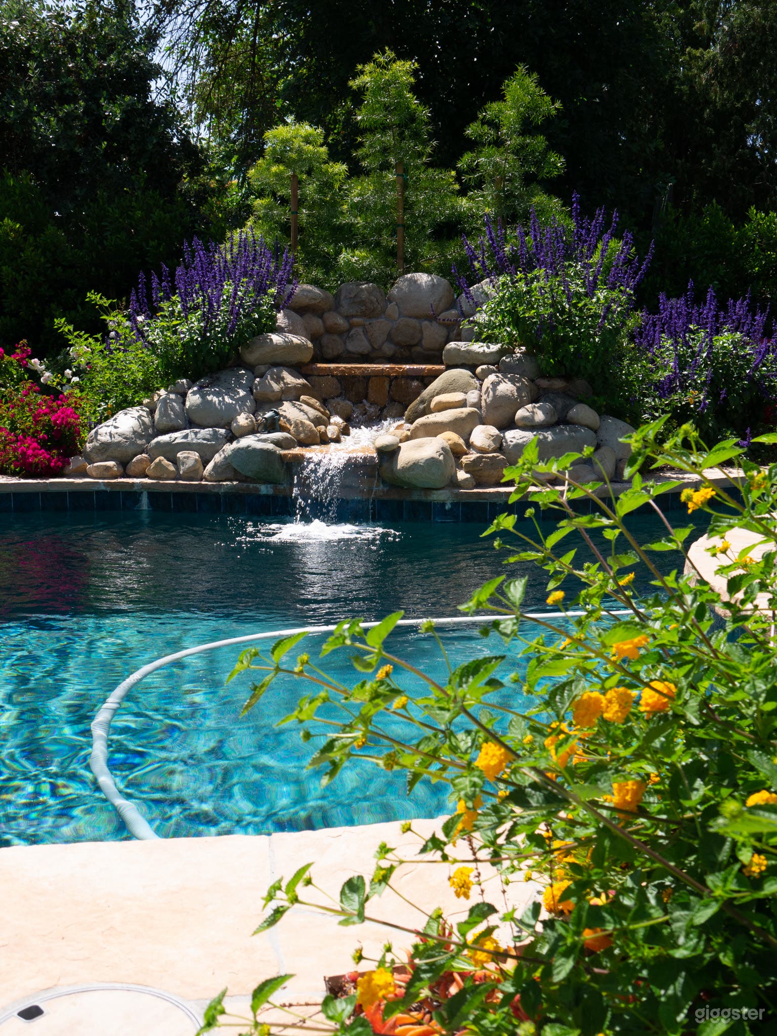 Pool with Waterfall in Lake Balboa Photo 3
