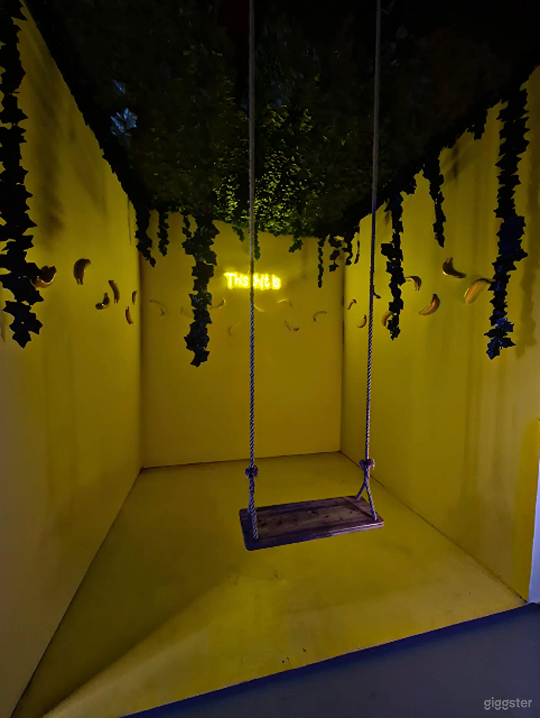 Jungle Banana Studio Set Photo 3