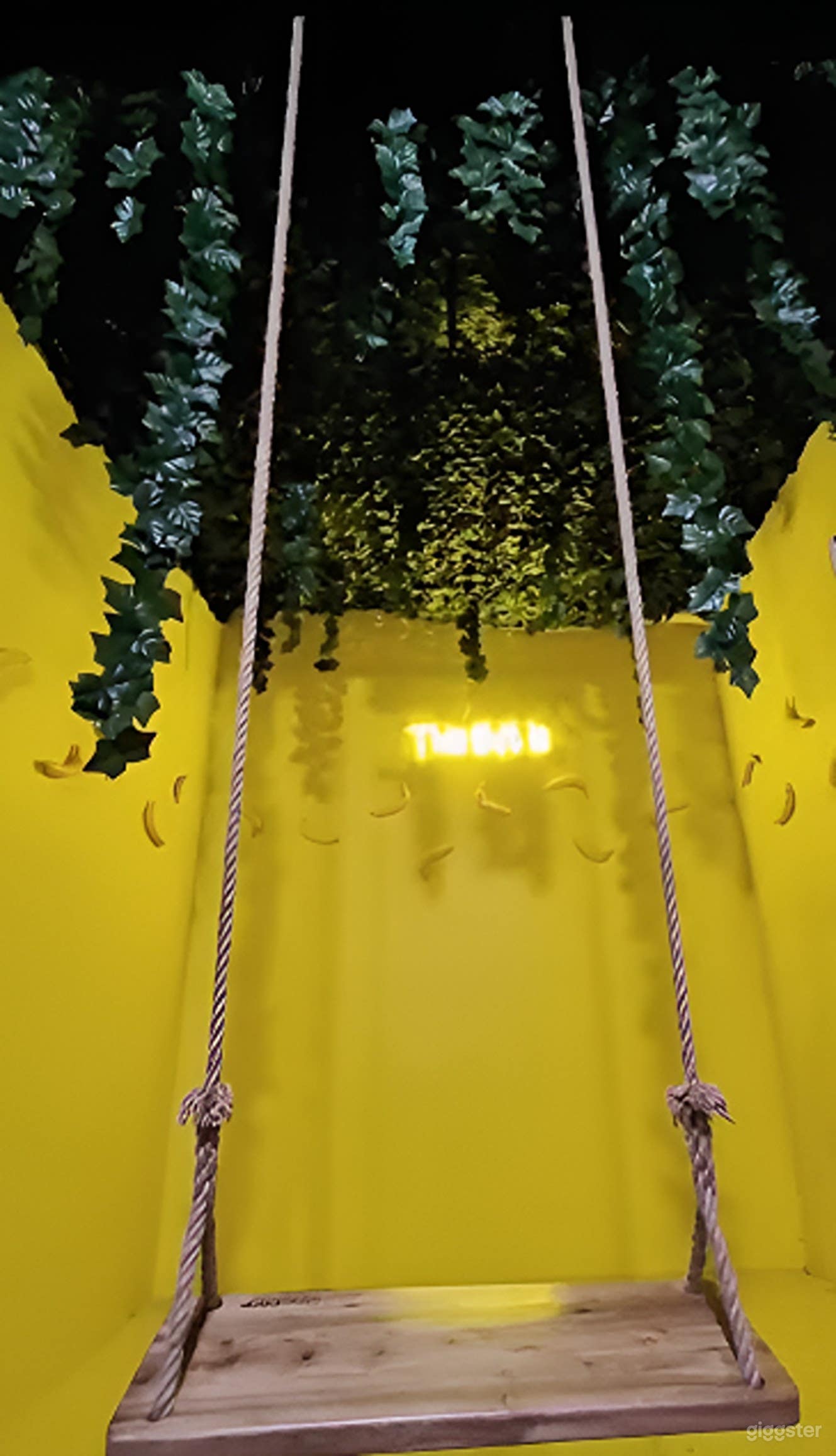 Jungle Banana Studio Set Photo 4