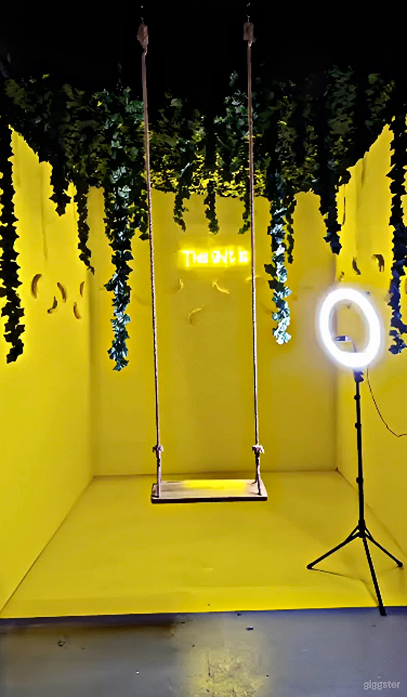 Jungle Banana Studio Set Photo 2