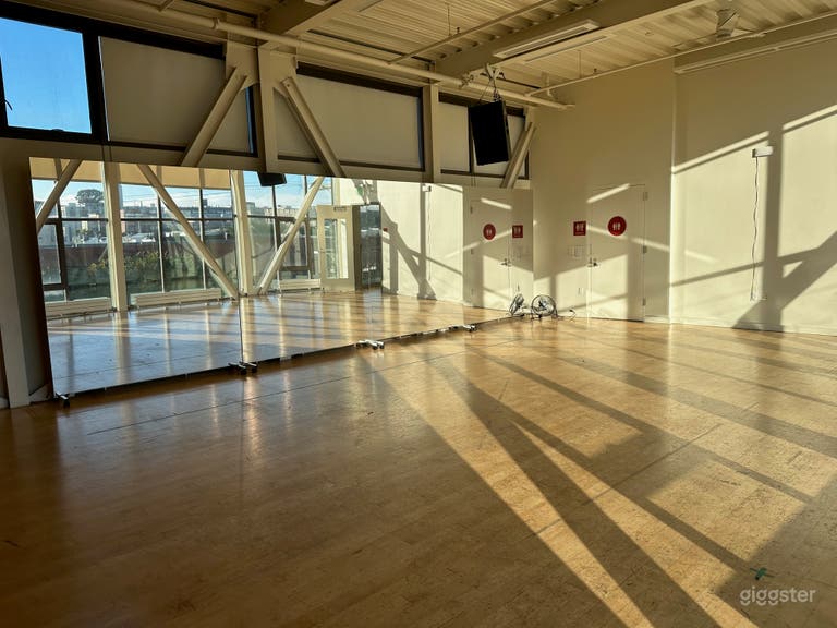  Stunning Studio with Mylar Mirrors (Mott) 