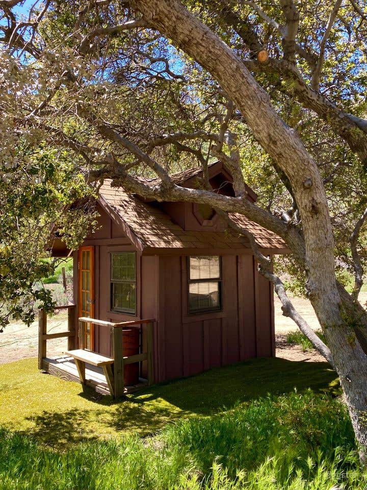 Cabin In The Woods Shack in High Desert Photo 1