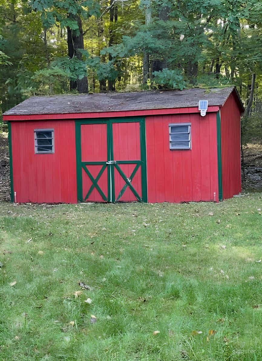 Wooded Spacious Backyard Escape Photo 3