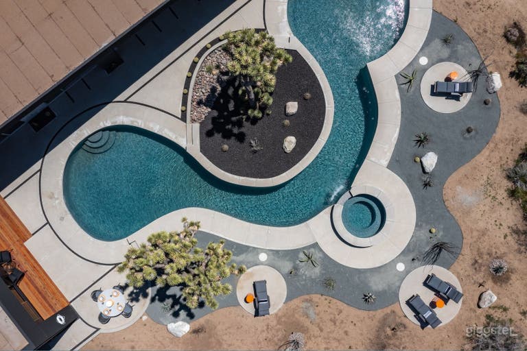  Dragonfly Freeform Pool 