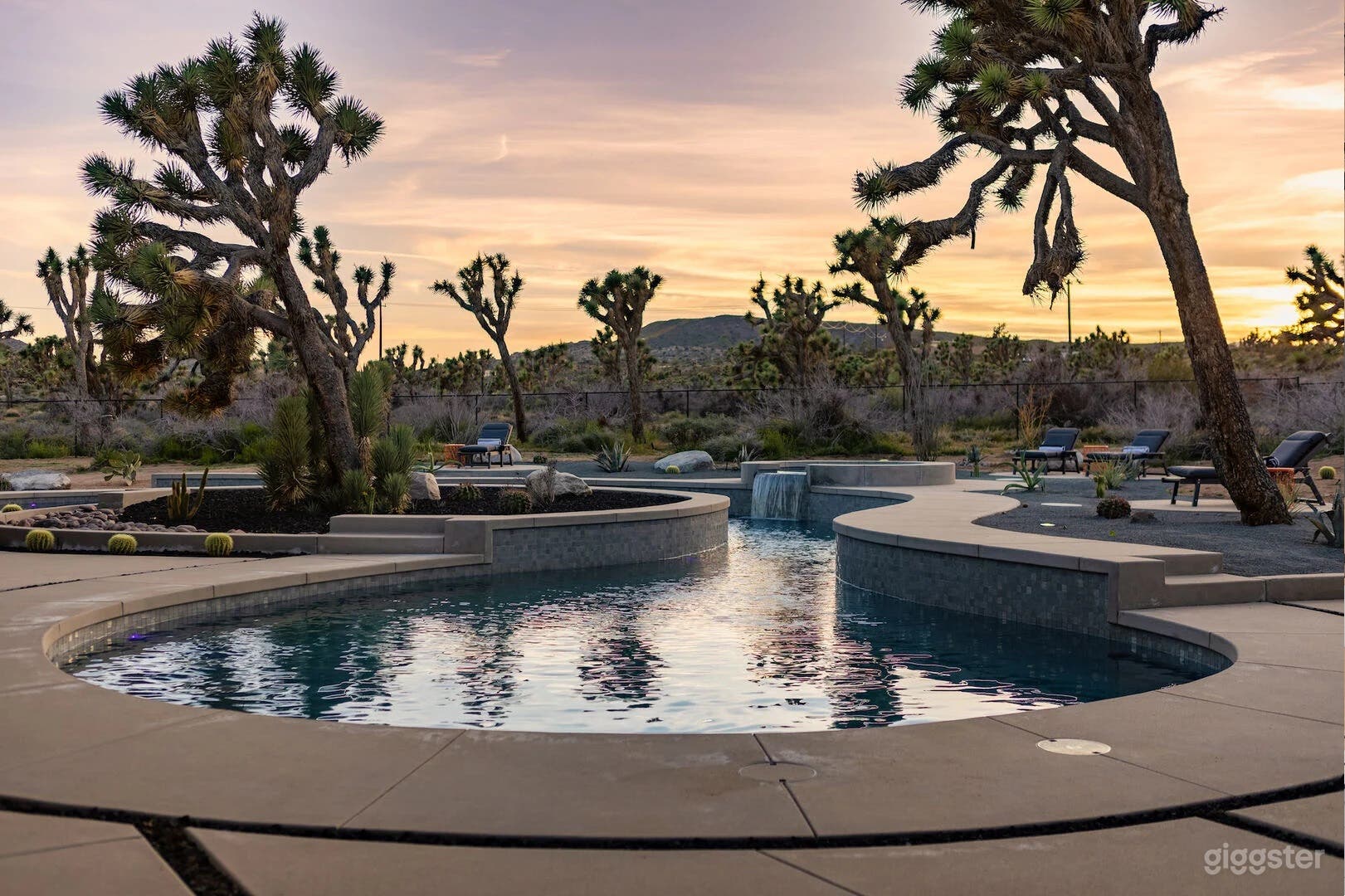 Dragonfly Freeform Pool Photo 3