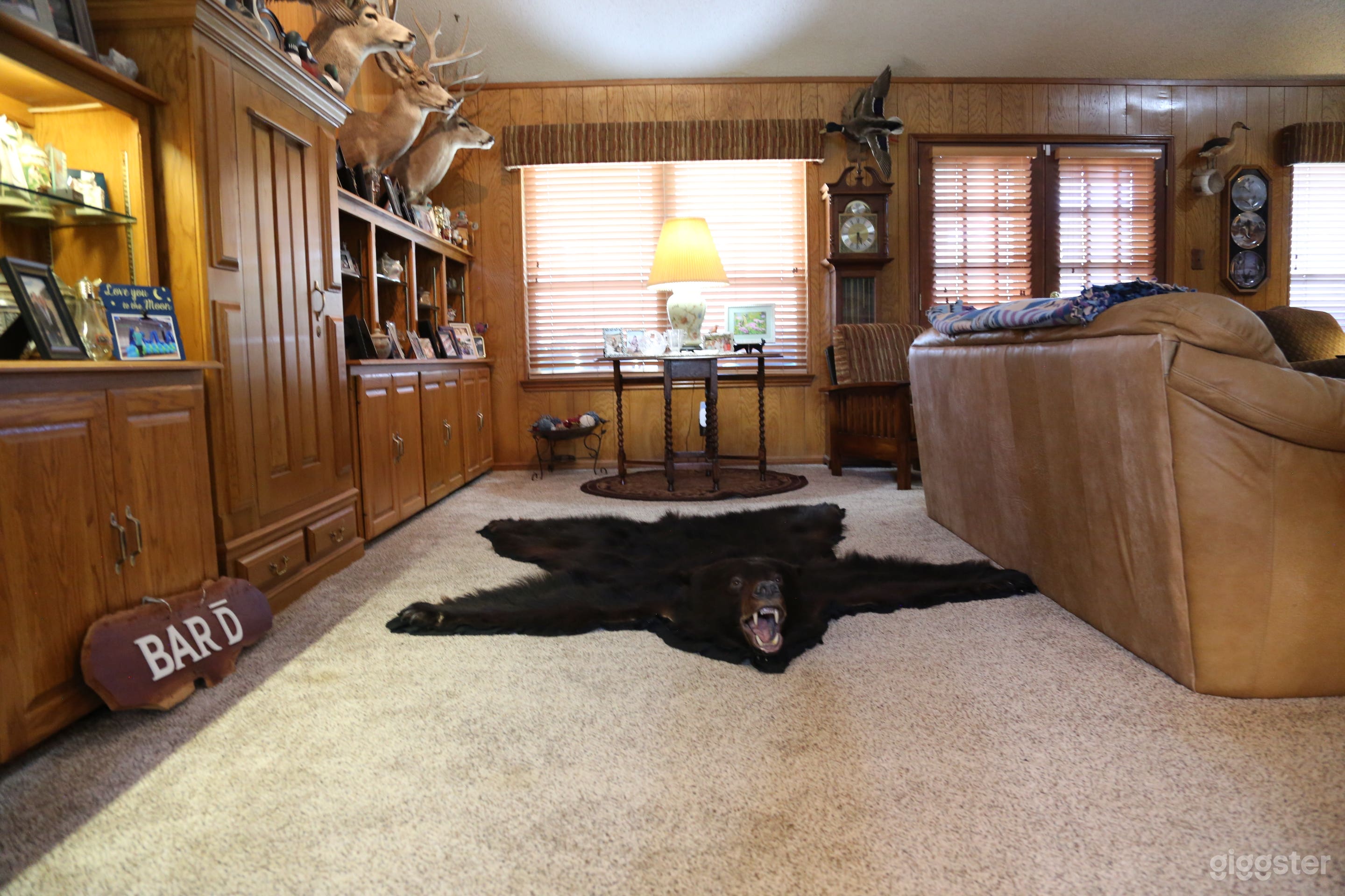 Prime 6 Acre Ranch Estate with Pool &amp; Oak Trees – Georgetown Photo 1