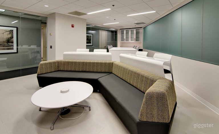  Contemporary Lounge Style Media Room   