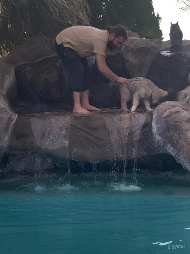  You can jump (not dive) off the waterfall’s ledge into 6’ water. 