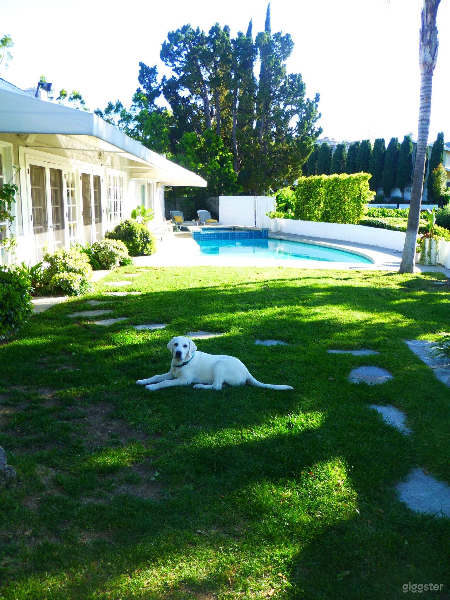 Spectacular View Prime Location  Photo 1