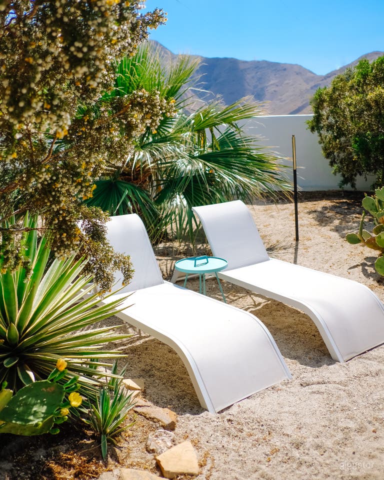  Dazey Desert House - Mid Century to the Max 