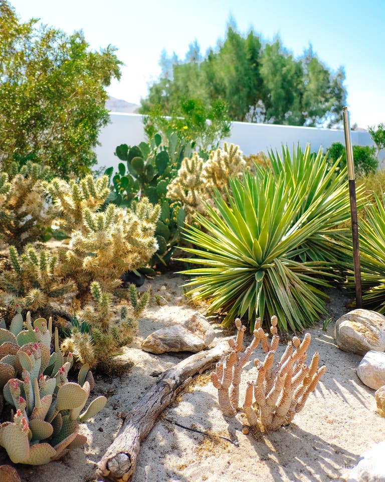  Dazey Desert House - Mid Century to the Max 