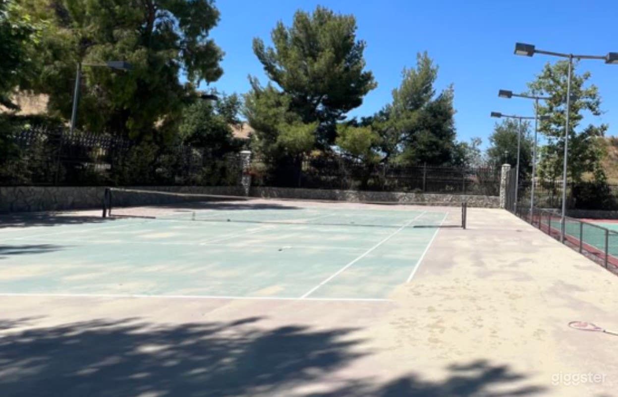 Spacious Tennis Court in a Mansion Photo 4
