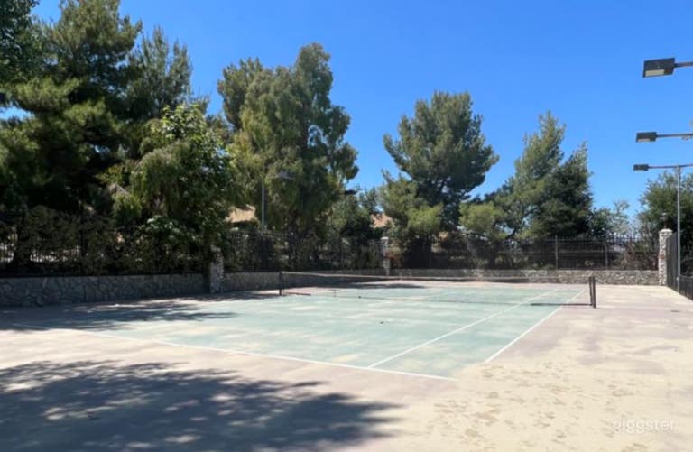  Spacious Tennis Court in a Mansion 