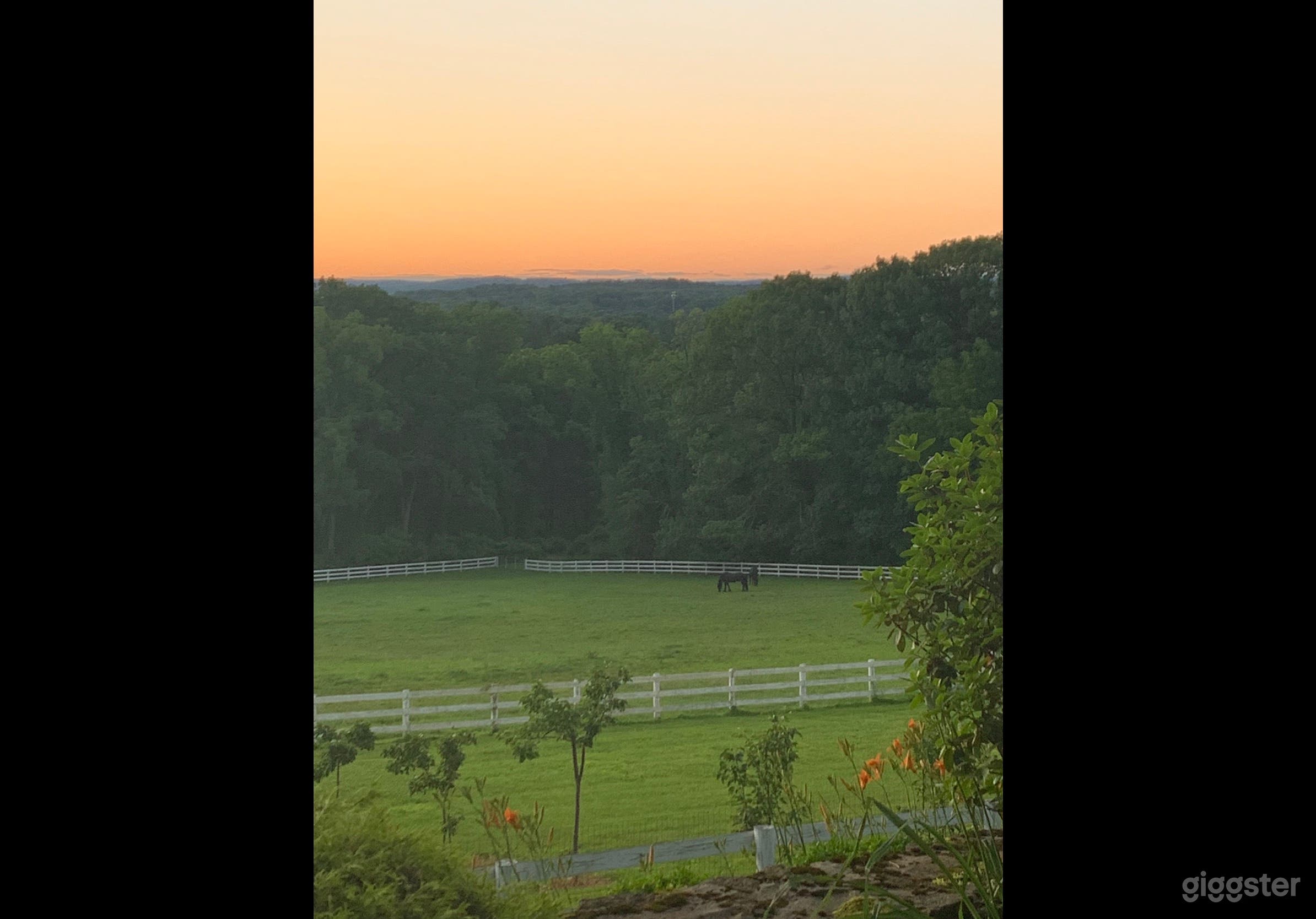 NJ Gentleman’s Equestrian Estate  Photo 4