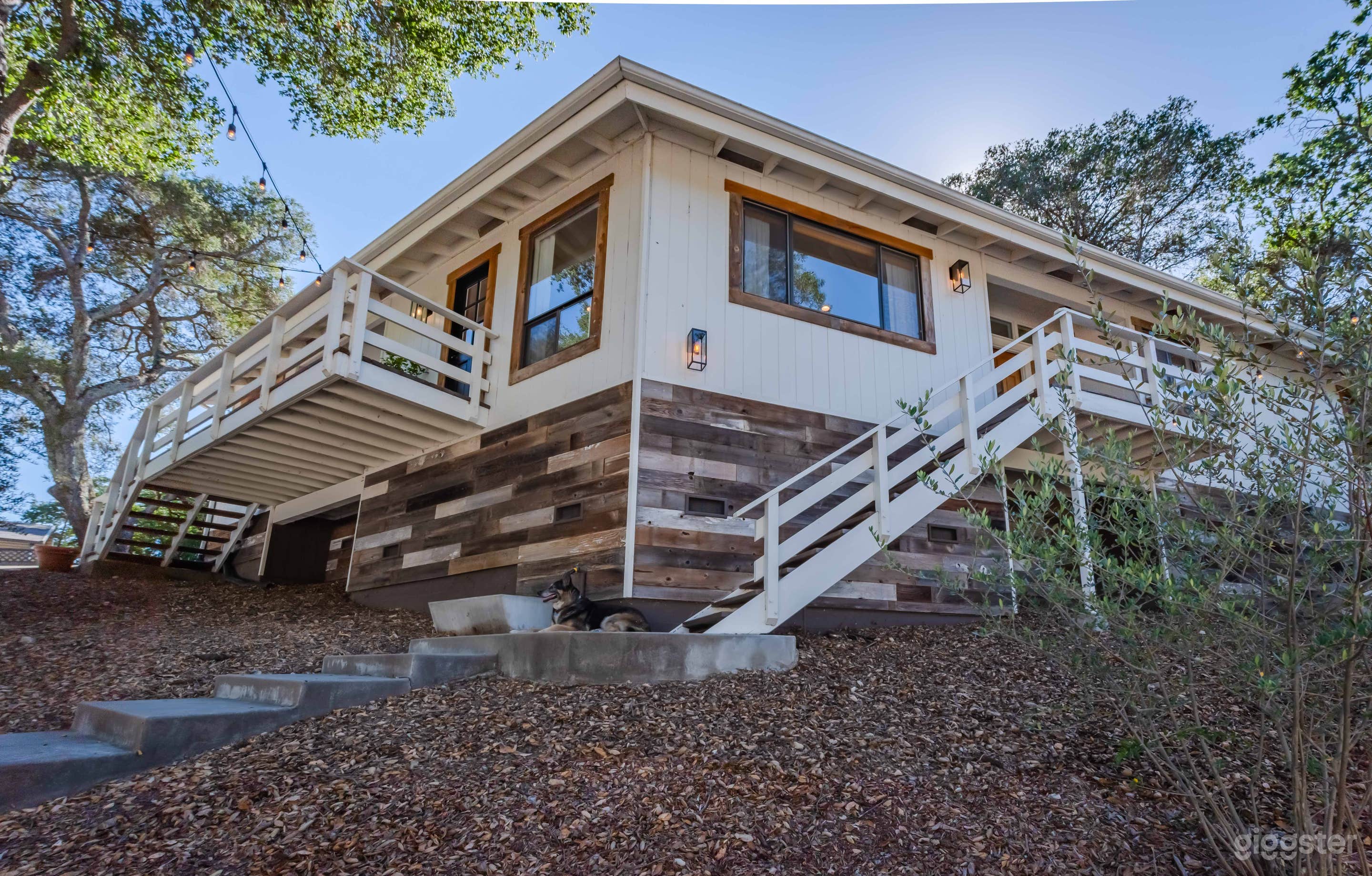 Vintage Treehouse Photo 2