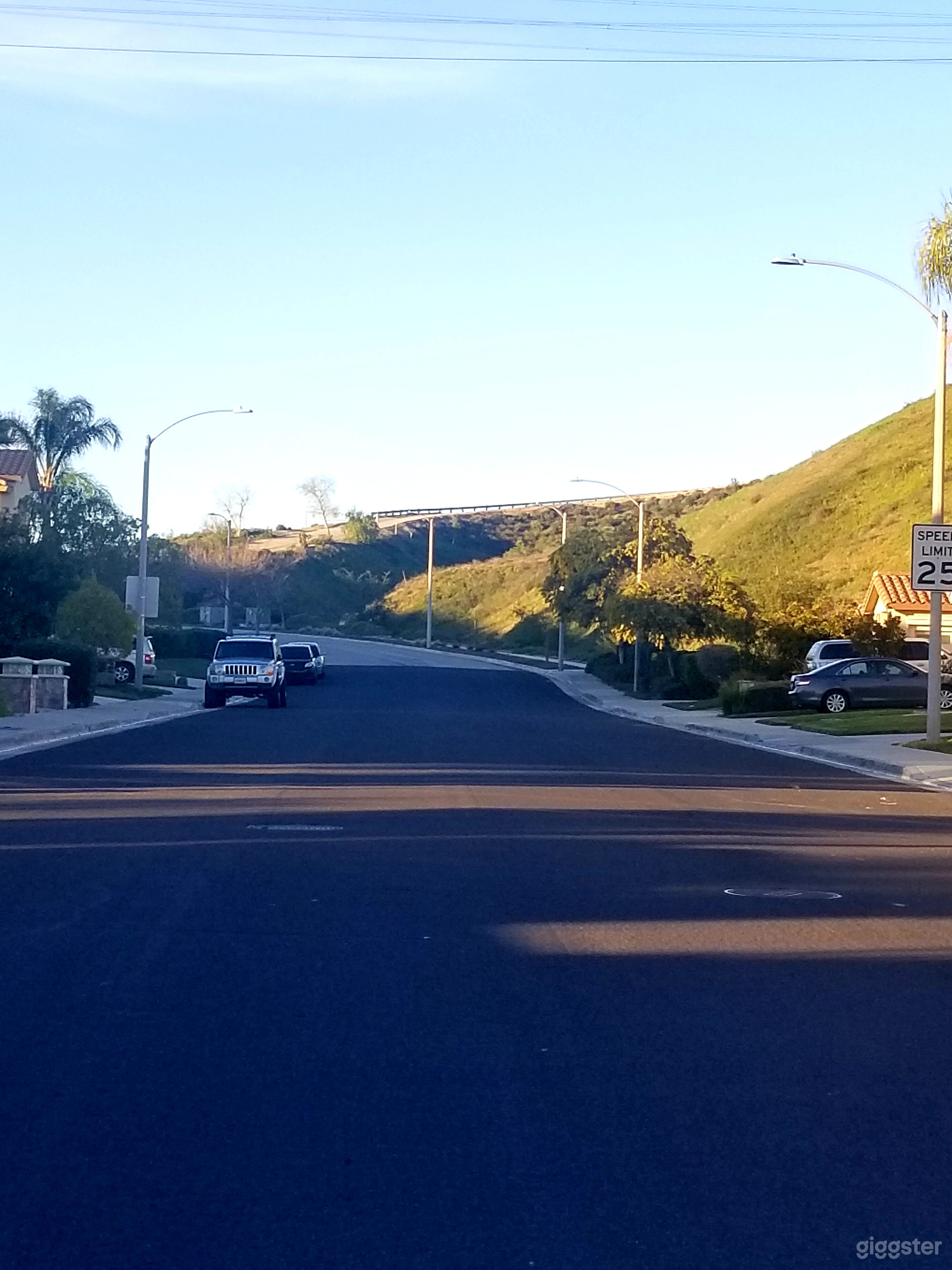 Santa Clarita Tropical Paradise Photo 2