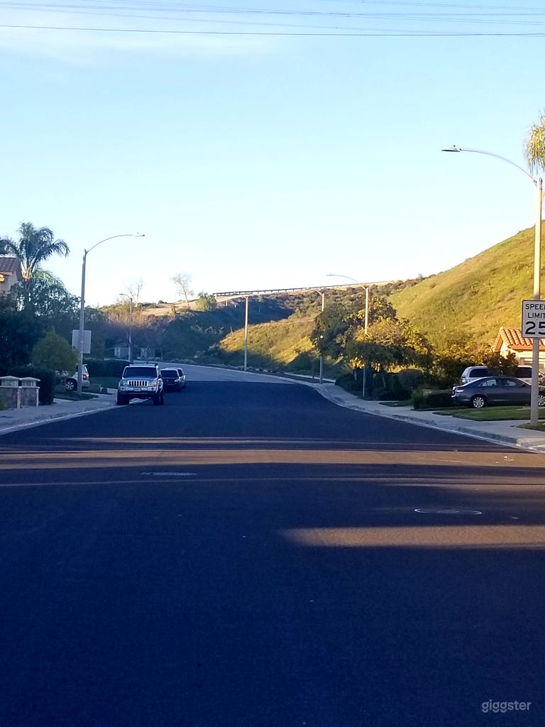  Santa Clarita Tropical Paradise 