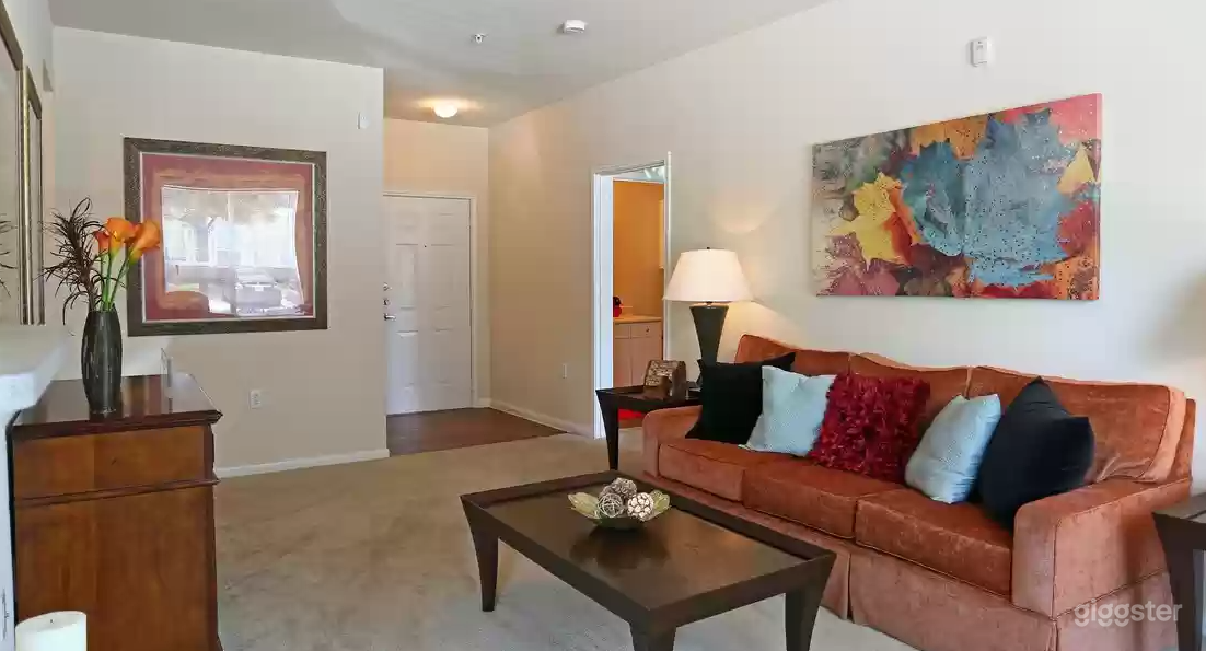 Spacious, Modern Apartment Photo 3