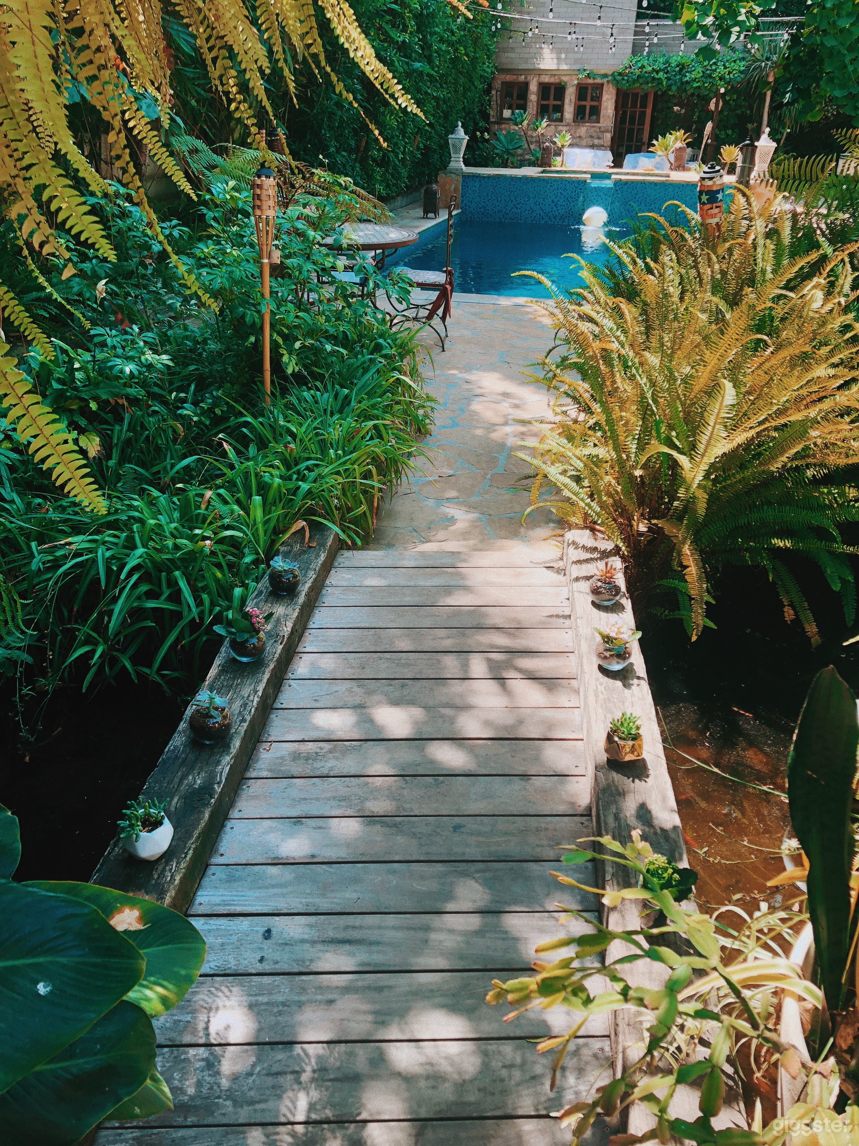 The Paradise Villa  Photo 3