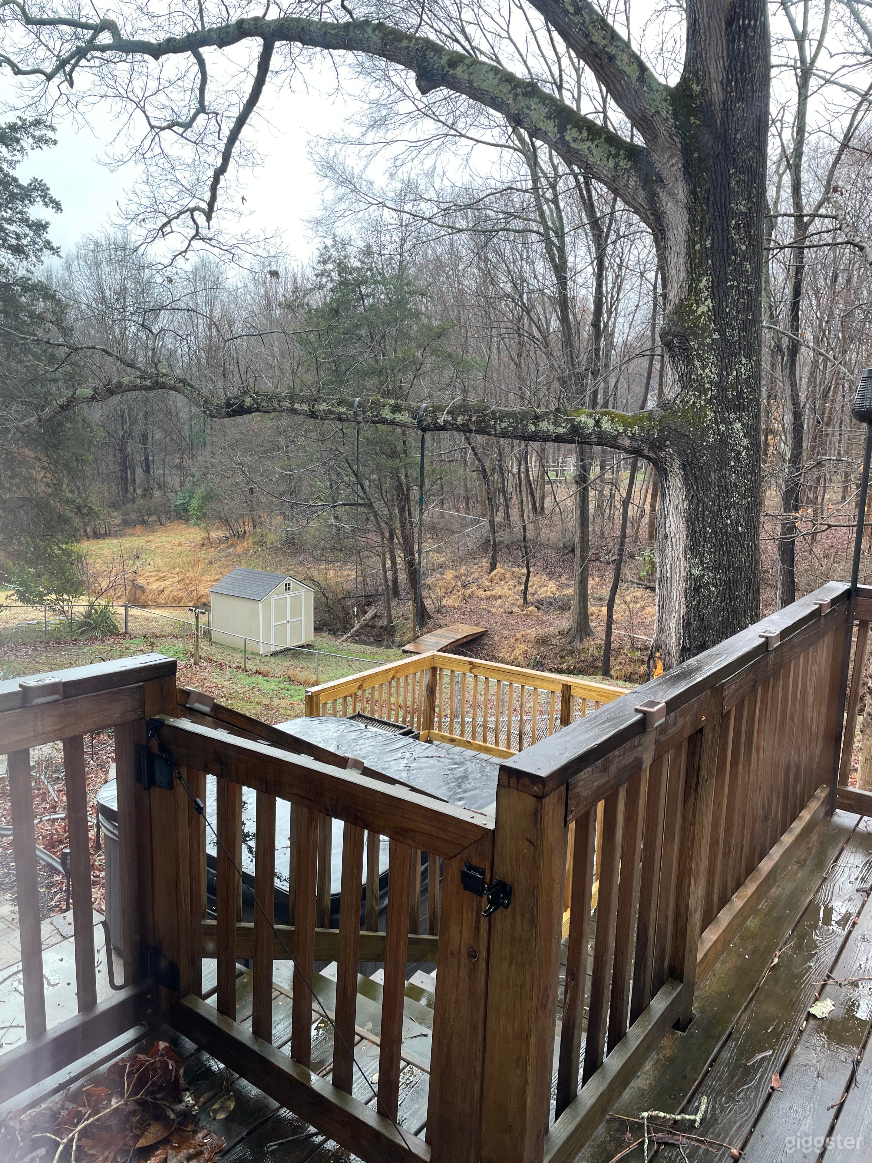 View from the deck