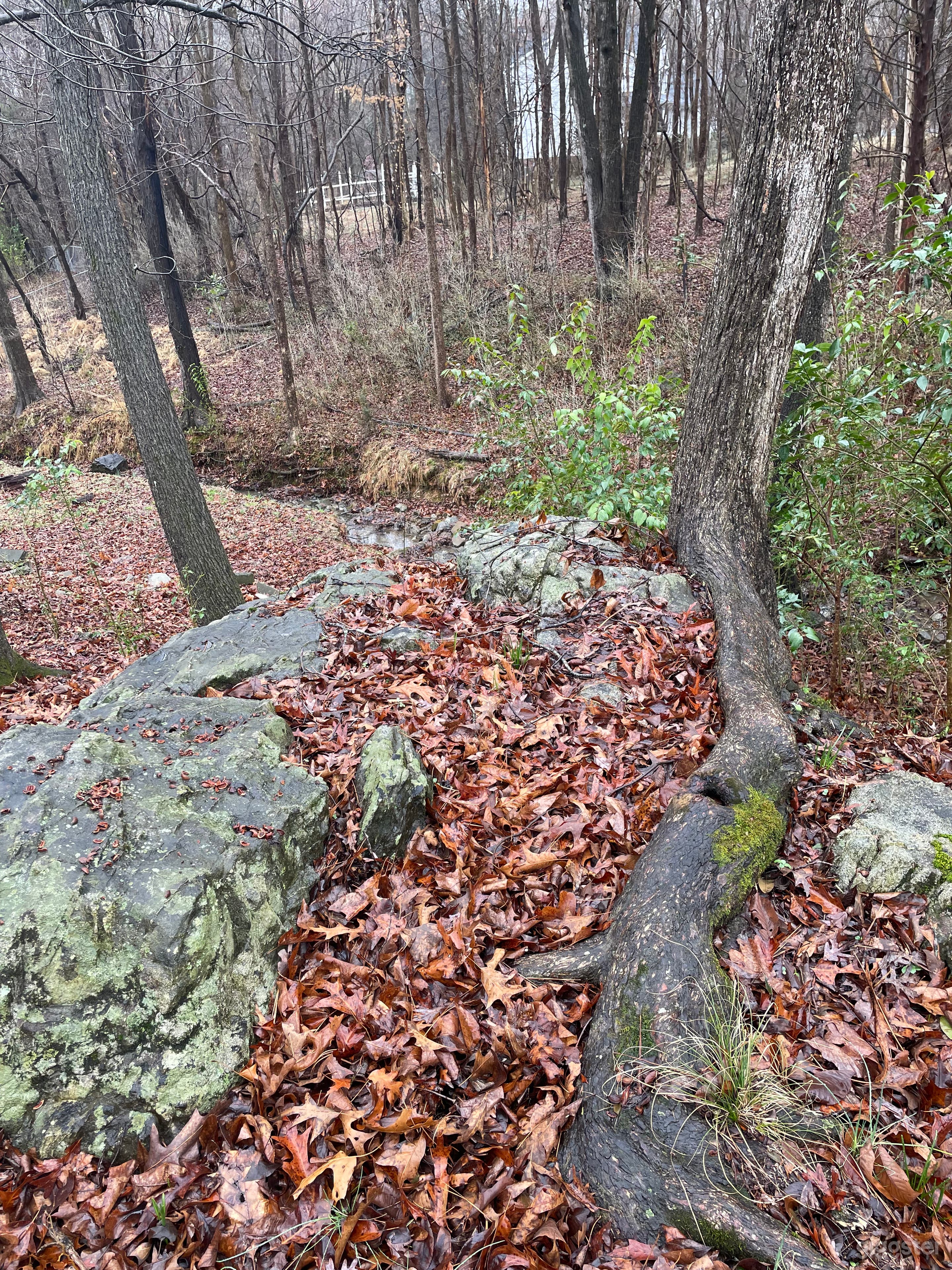 View from atop the boulder