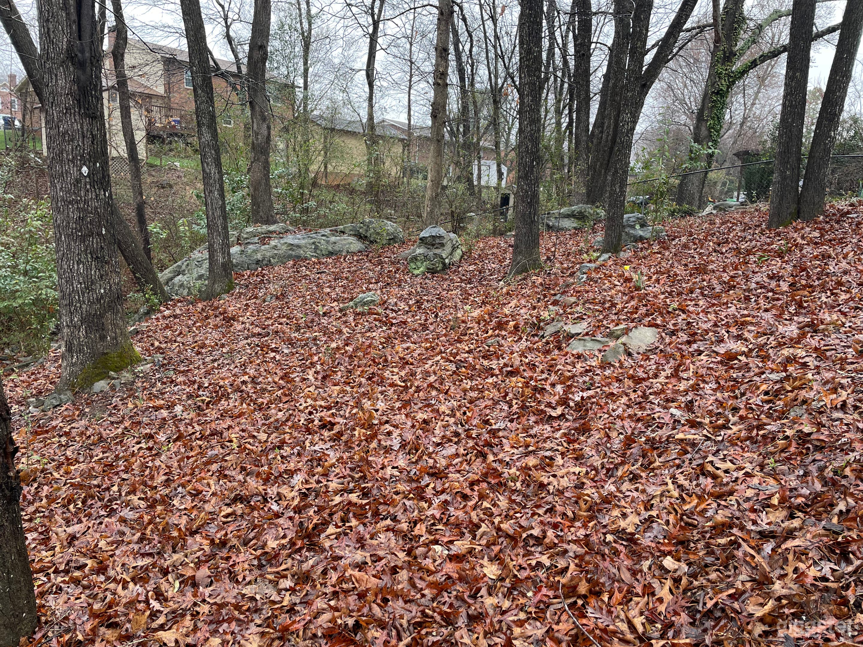 Top/side of the hill