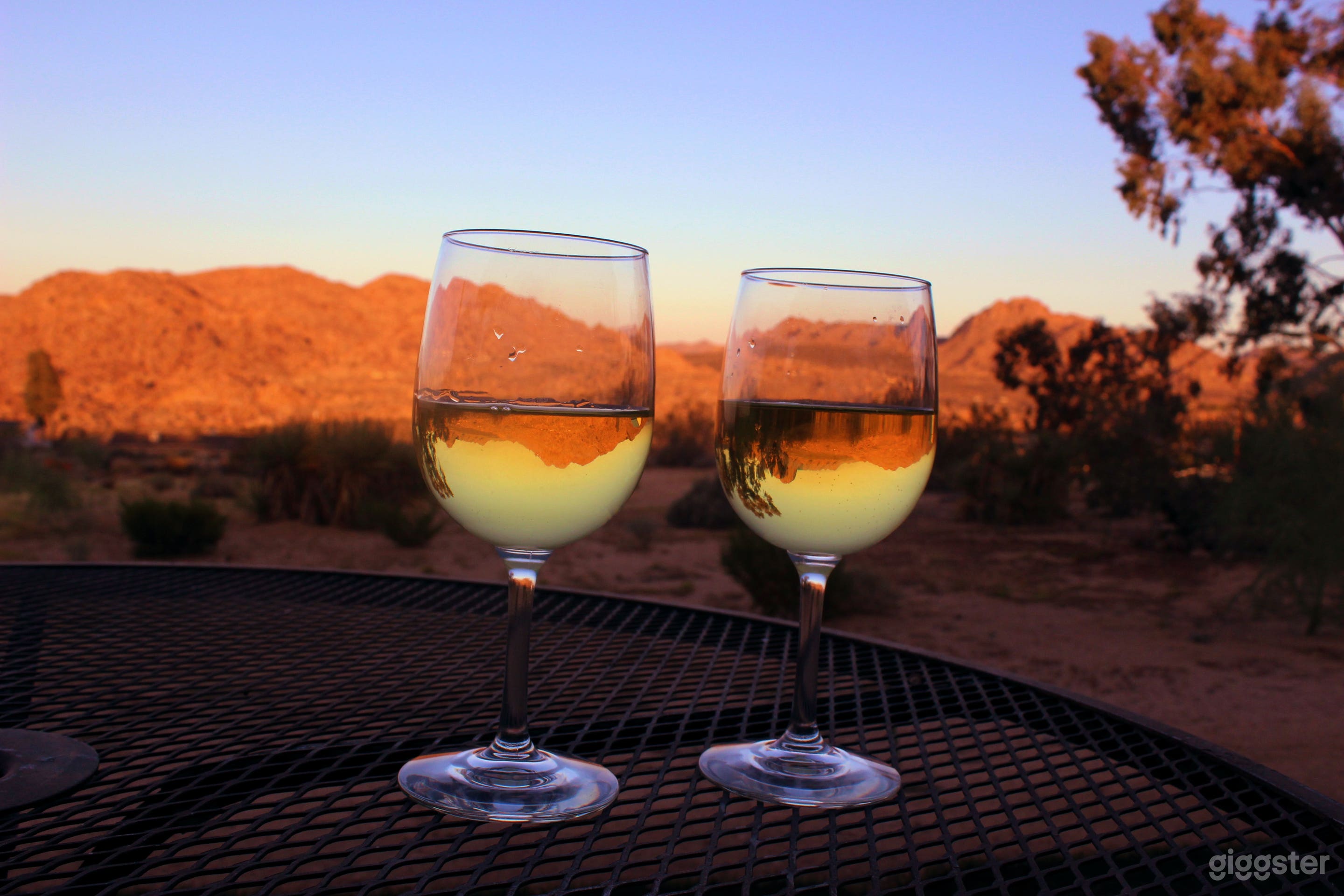 Contemporary Joshua Tree Ranch w/ Sweeping views Photo 4