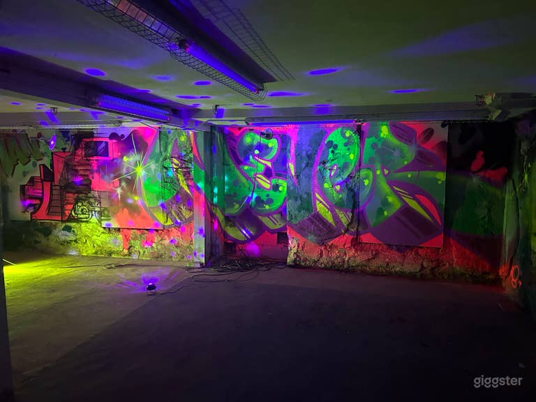  Speakeasy Blacklight Mural Space 