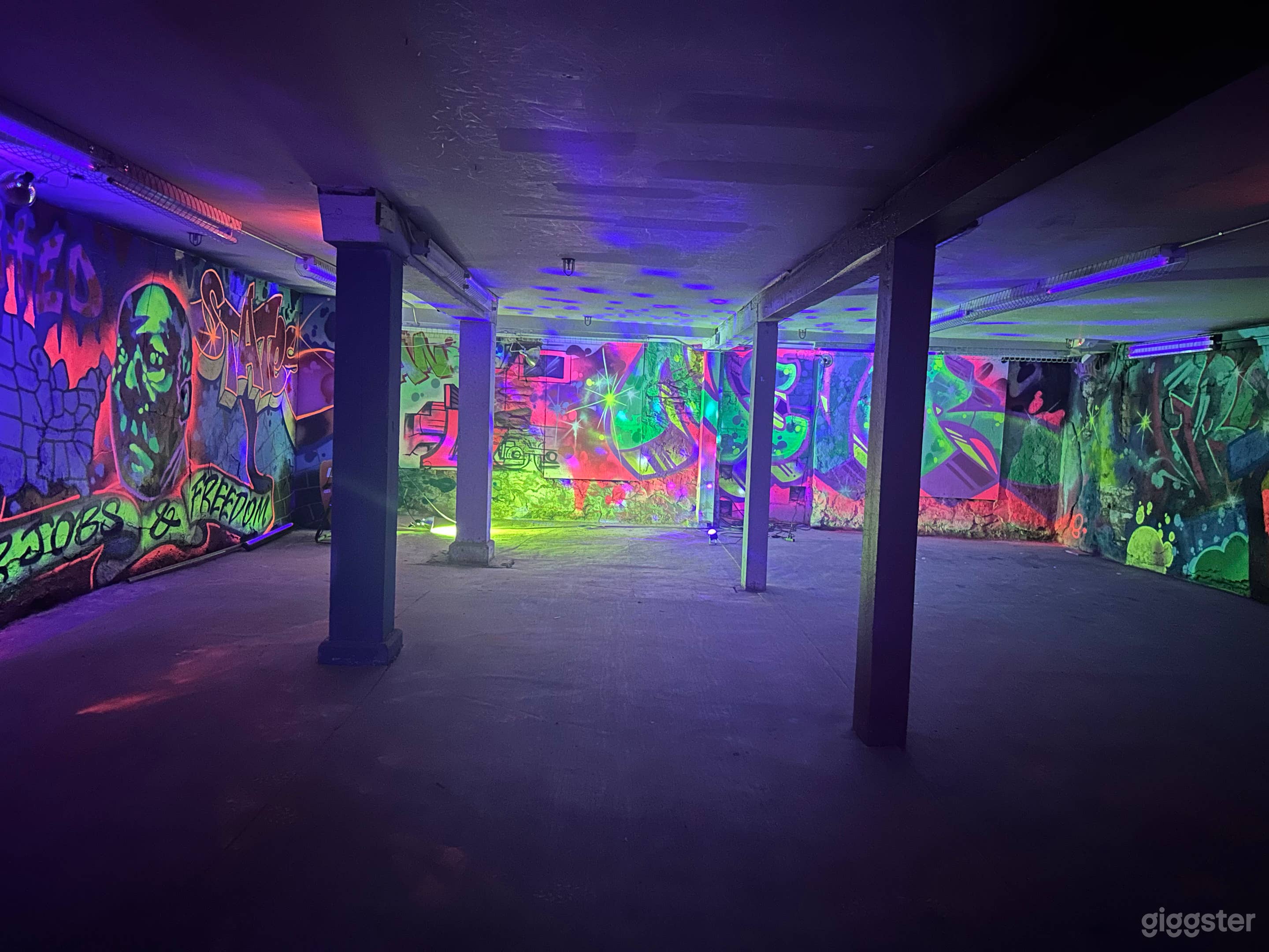 Speakeasy Blacklight Mural Space