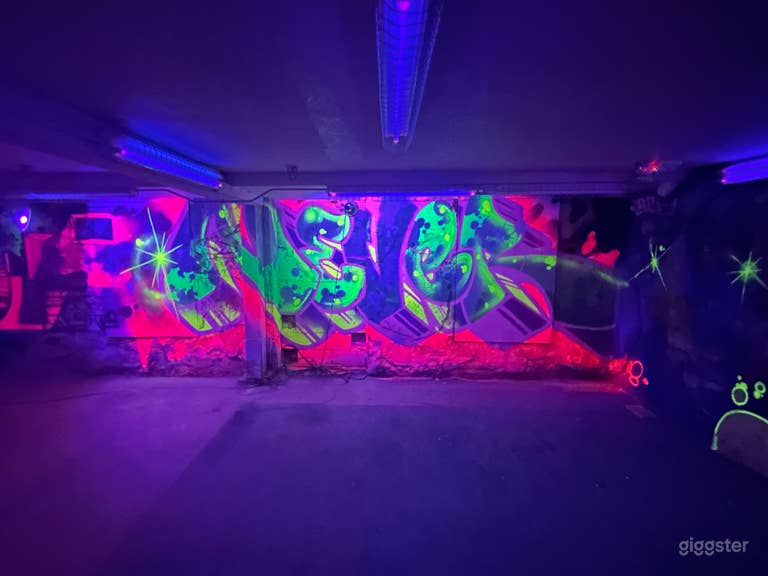  Speakeasy Blacklight Mural Space 