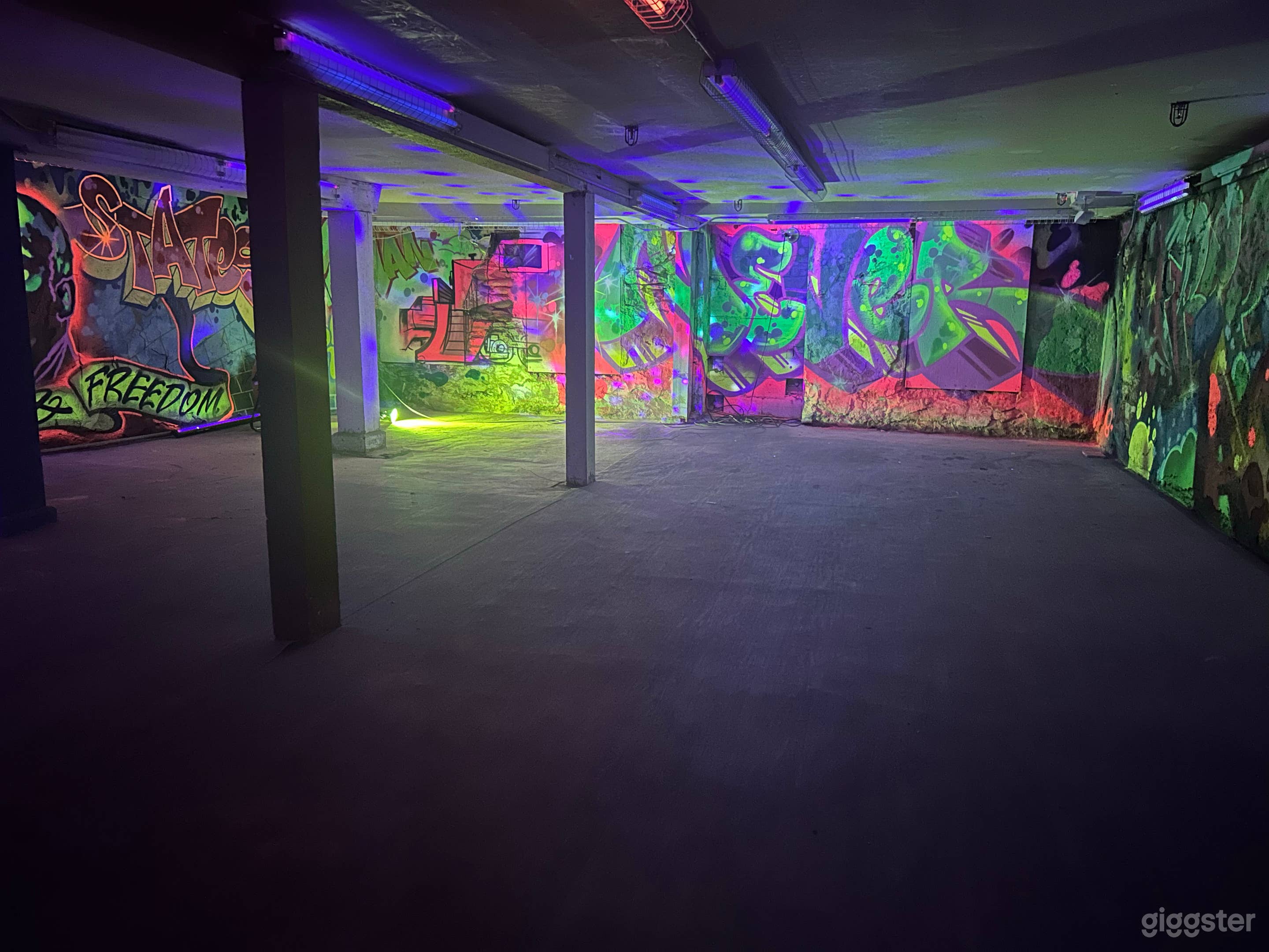 Speakeasy Blacklight Mural Space