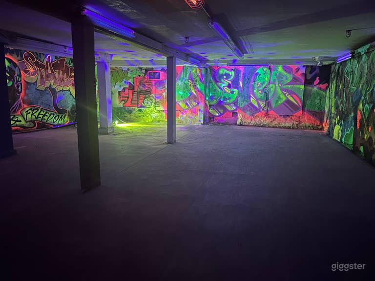  Speakeasy Blacklight Mural Space 