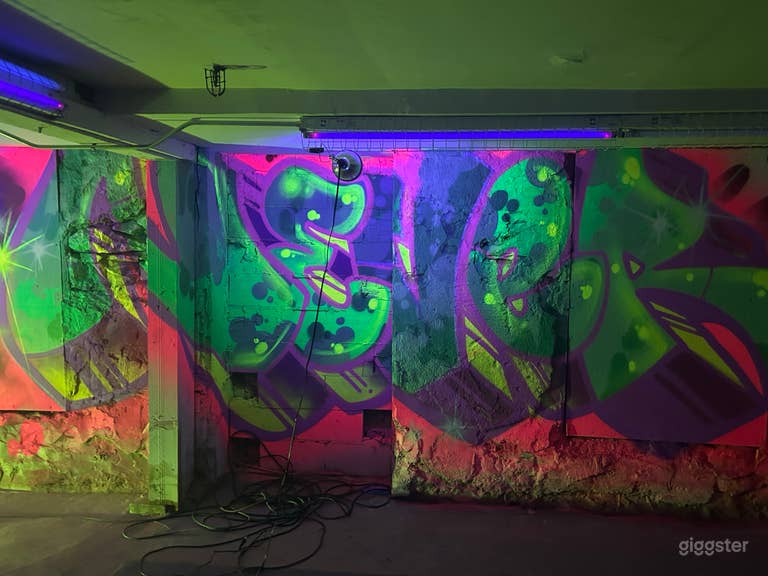  Speakeasy Blacklight Mural Space 