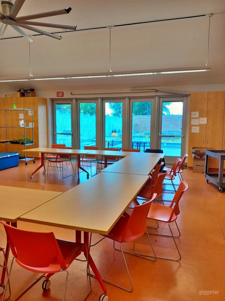  Doors and Windows Overlooking Green Roof 